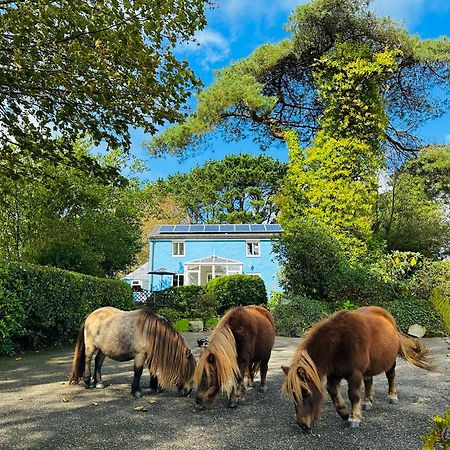 Bay View Cottage St Austell Buitenkant foto