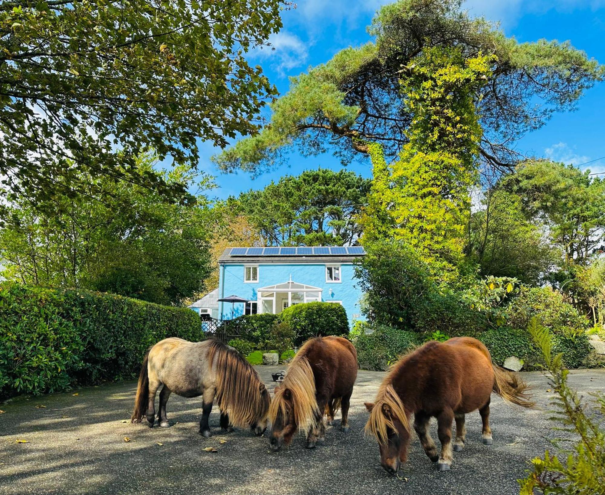 Bay View Cottage St Austell Buitenkant foto